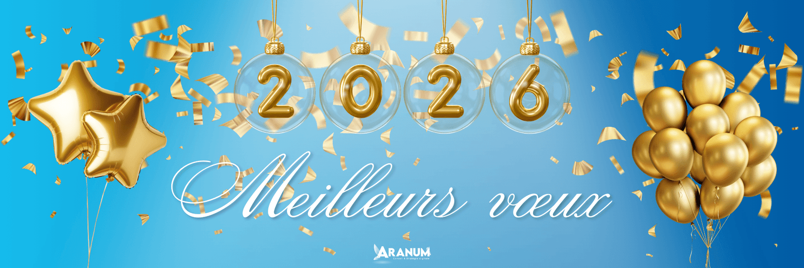 Meilleurs voeux